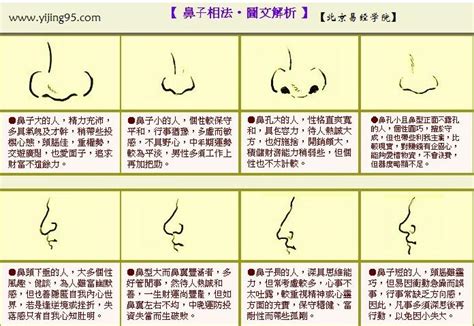 鼻子面相